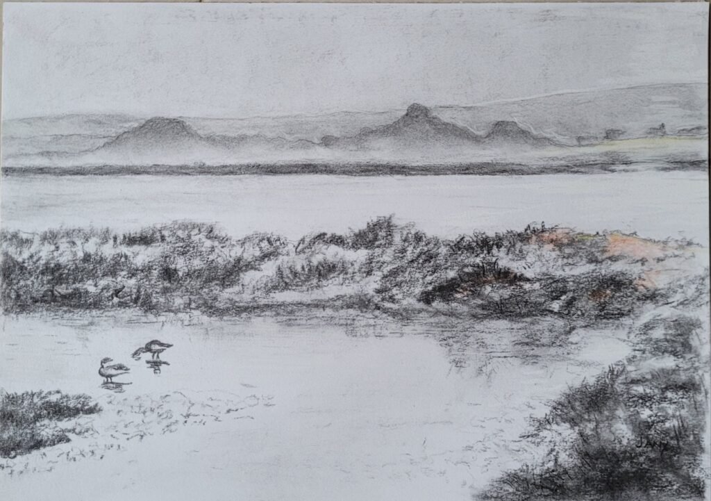 Lagunes de l'Hérault